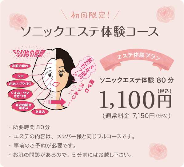ソニックエステ体験コース
