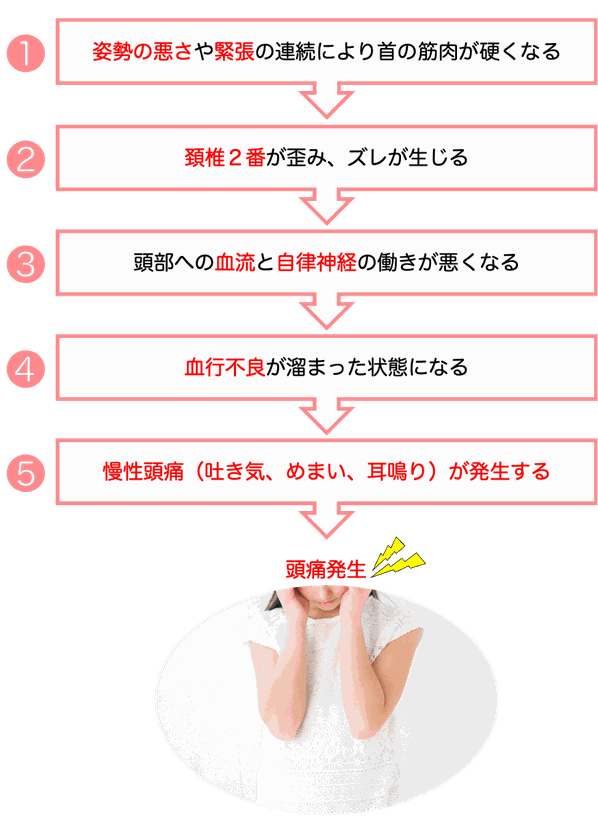姿勢の悪さや緊張の連続により首の筋肉が硬くなる→頚椎2番が歪み、ズレが生じる→頭部への血流と自律神経の働きが悪くなる→血行不良が溜まった状態になる→慢性頭痛（吐き気、めまい、耳鳴り）が発生する→頭痛発生！！