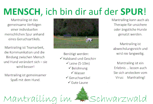 Mantrailing im Schwarzwald