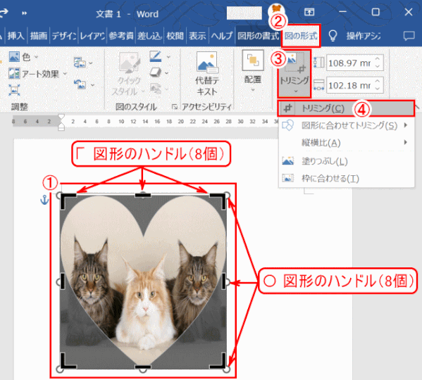 jdgPW4_05:トリミングを始める