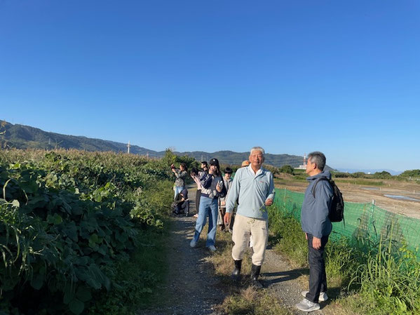上牧実行組合の木村さんと美唄市の皆さんがヨシ原を歩く