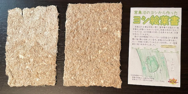 ヨシのパルプと牛乳パックを混ぜて漉いたヨシ絵葉書