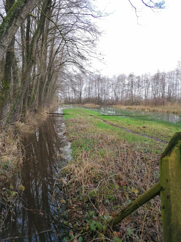 Op 4 februari 2021 nog steeds hoog water. De Zompesloot staat nog in open verbinding met de Zompewei.