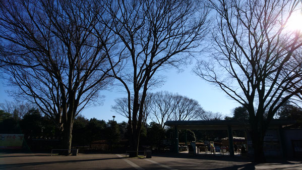 神代植物公園