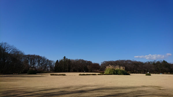 神代植物公園 芝生広場