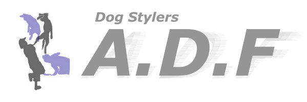 愛犬との生活をより充実したものに！