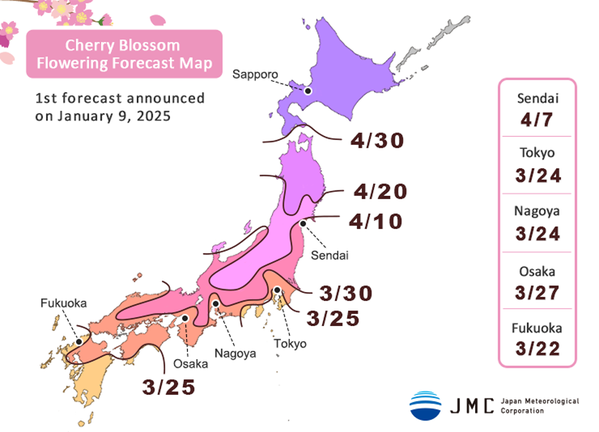 "Cherry Blossom Flowering Forecast Map" shows dates of flowering but not of full bloom.