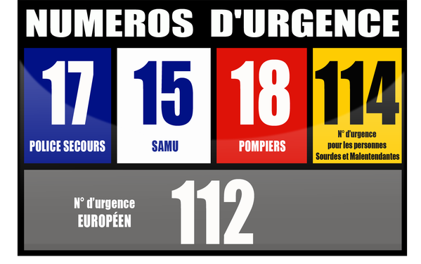 gestes qui sauvent, secourisme, psc1, côte d'Armor, sst, extincteur, anps.