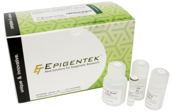 dna methylation epigenetic market to