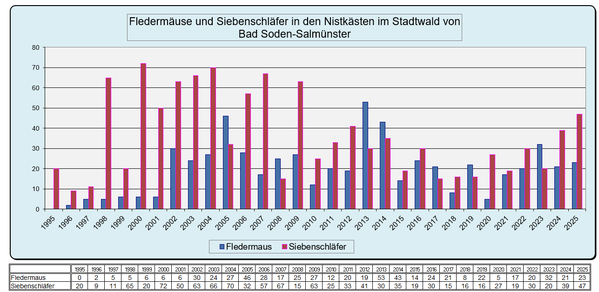 Statistik Stadtwald Besatz der Nistkästen durch Fledermäuse und Siebenschläfer 1995 - 2025