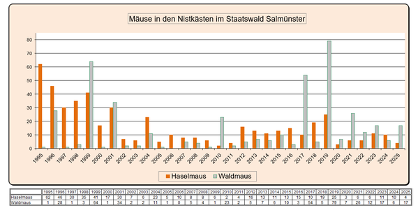 Statistik Staatswald Besatz der Nistkästen durch Mäuse 1995 - 2025