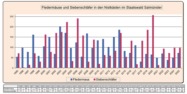 Statistik Staatswald Besatz der Nistkästen durch Fledermäuse und Siebenschläfer 1995 - 2025