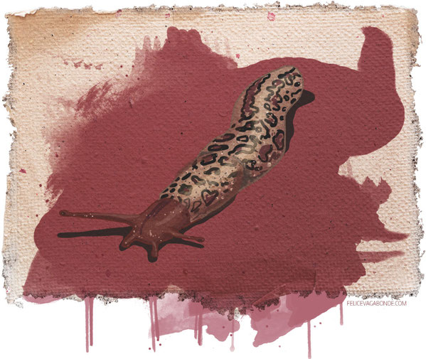 Der Schnegel (c) Felice Vagabonde, Illustration aus Hamburg, 2015