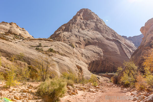 grand,wash,canyon,trail,capitol,reef,nationalpark,wandern