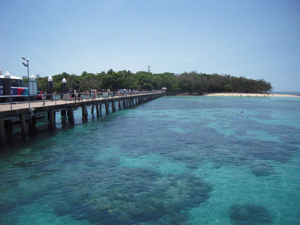 桟橋から見たグリーン島の写真