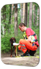 Scout beim Anriechen einer Geruchskopie