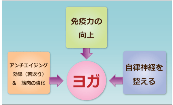 ヨーガセラピー ケィ・ティスタジオ 川越 ヨガ図解