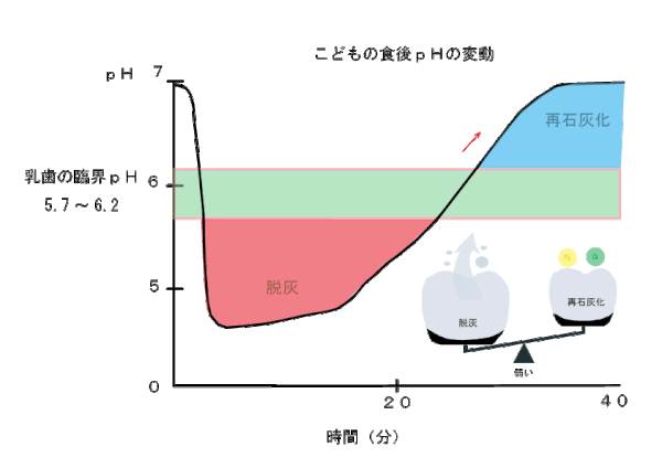 こどもの食後ＰＨの変動