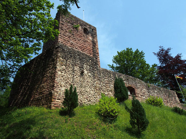 ruine Schilteck Burgen Archäologie, Geschichte