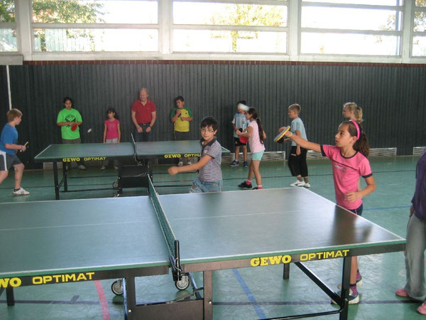 Enorme Leistungssteigerung: Mädchen und Jungen spielen den Ball schon gekonnt über das Netz