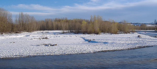 " mari e fiumi, ghiaccio e neve, benedite il Signore". Panaro d'inverno