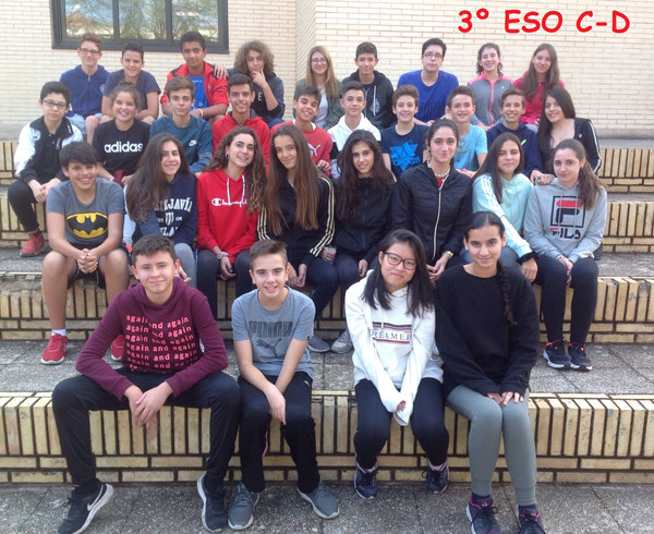 3º ESO C-D 2018-2019