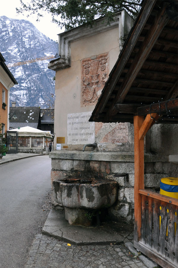 Löcker, Brunnen, Bindenschild, Fünfadlerwappen, Pfauenstoß, Hoftor, Hallstatt, Welterbe, Baderplatz