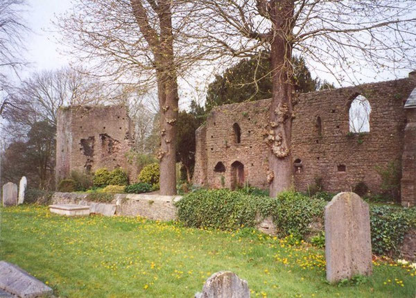 Part of Tiverton Castle, Tiverton - geograph.org.uk - 649892.jpg