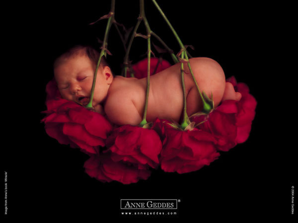 Bebe Anne Geddes Honalines Jimdo Page Lumiere Feerique