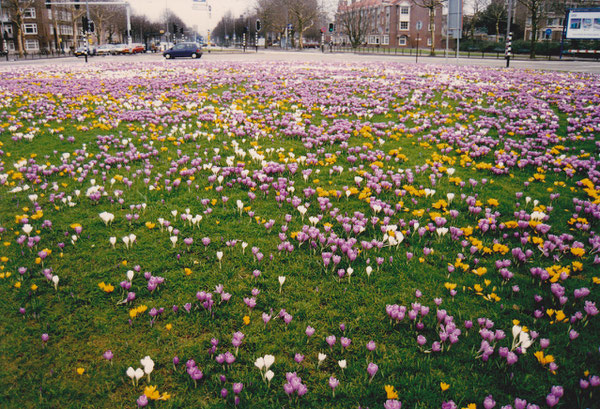 アムステルダムのラウンドアバウトの中央島（信号制御のタイプ）/ A traffic island of a circular intersection, Amsterdam