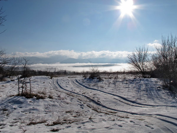 Расстояние до зимы в Крыму измеряется не днями, а километрами