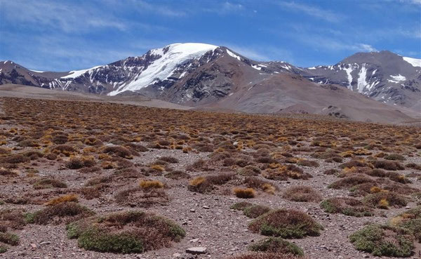 unerwarteterweise gibt es auf mittlerweile 4000 m Höhe auf einmal Vegetation: tiefgelbe Gräser