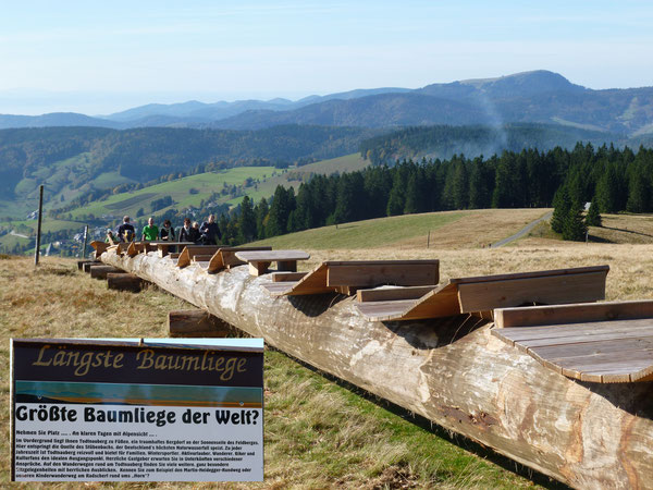 Coaster -Rodelbahn am Hasenhorn mit Turm
