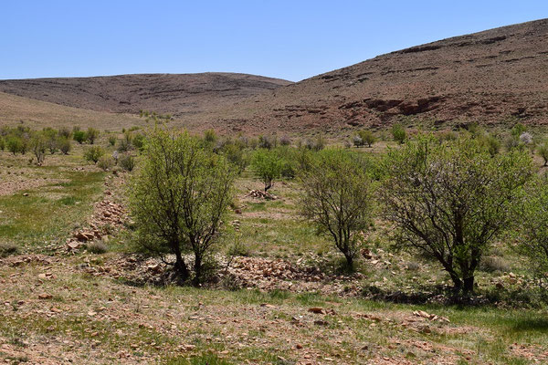 Habitat, région d'Igherm, Anti-Atlas sud-occidental, 2018, ©Frédérique Courtin-Tarrier 