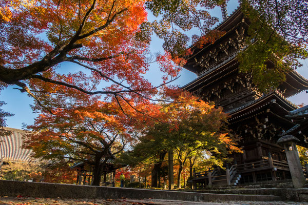 京都・真如堂紅葉 塔