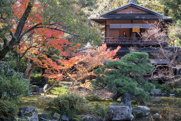 京都御苑の紅葉