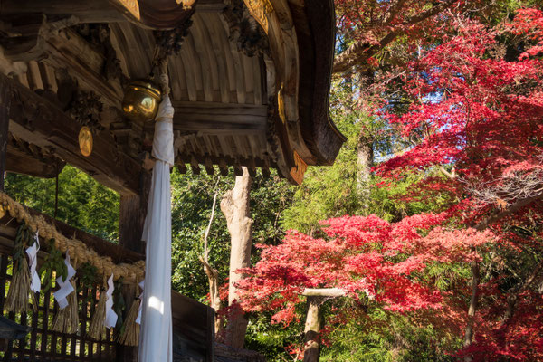 京都亀岡・鍬山神社の紅葉