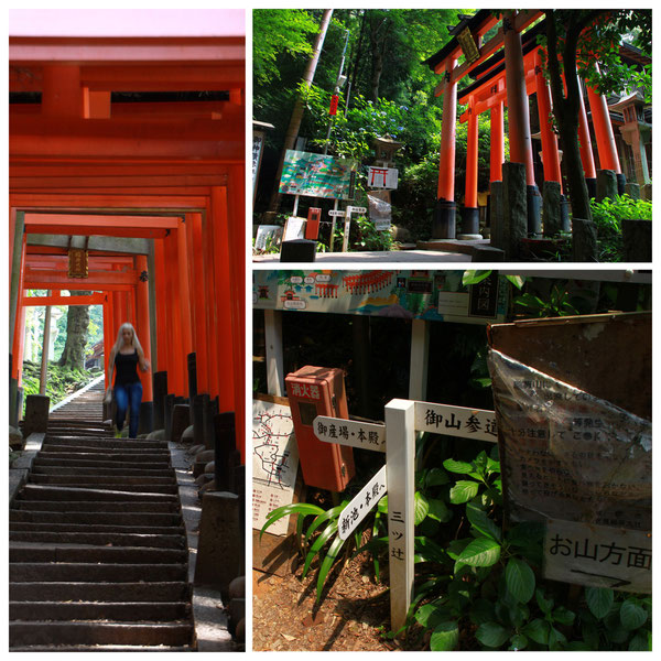 京都一周トレイル 東山コース 伏見稲荷大社(三ツ辻)