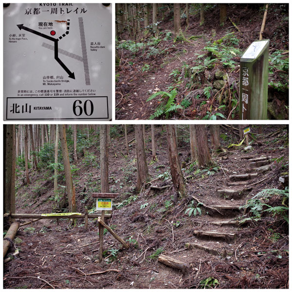 【京都トレイル北山西部コース】「北山60」