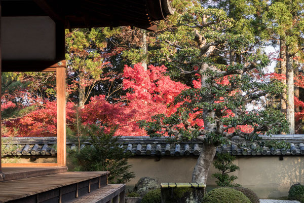 京都京田辺 一休寺の紅葉