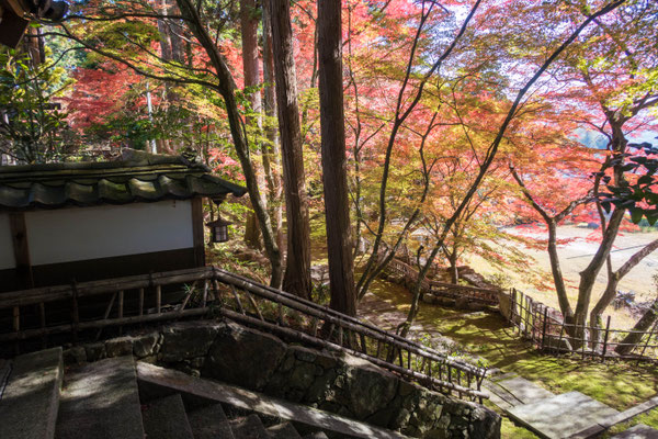 京都亀岡 苗秀寺の紅葉