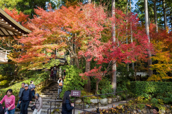 京都大原三千院の紅葉とお地蔵さん