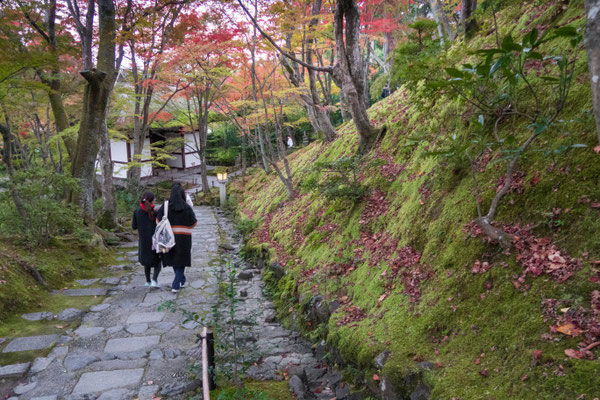 京都嵐山 常寂光寺の紅葉