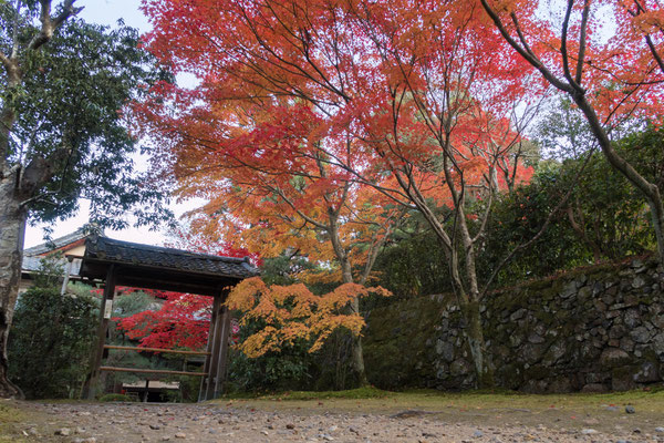 京都京田辺 一休寺の紅葉