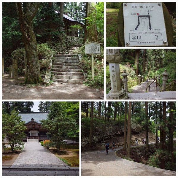 京都一周トレイル 北山東部コース 「北山7」(比叡山)