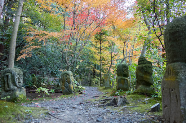 京都京田辺 一休寺の紅葉