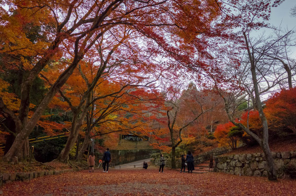山科 毘沙門堂 紅葉