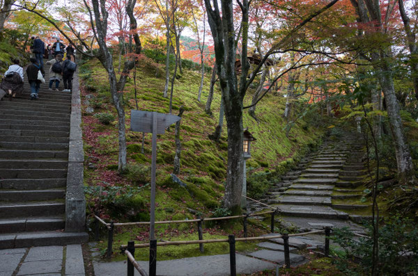 京都嵐山 常寂光寺の紅葉