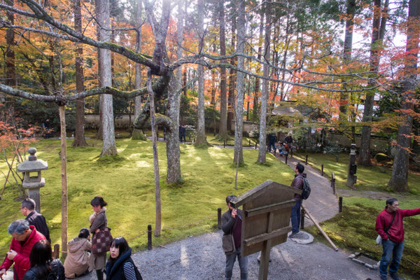 京都大原三千院の紅葉