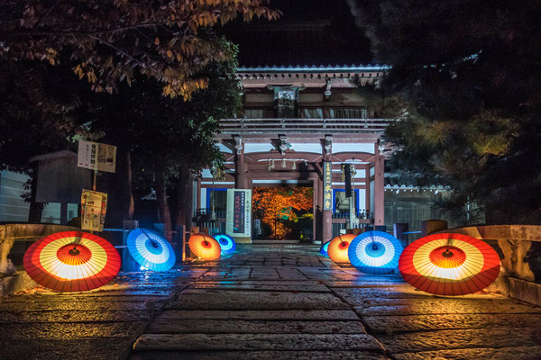 京都・本法寺ライトアップ